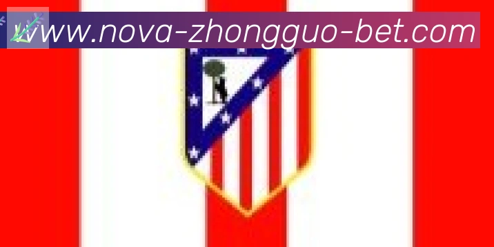 中国体彩网合作伙伴